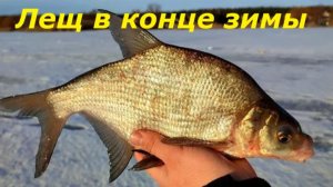 КАК ЛОВИТЬ ЛЕЩА в КОНЦЕ ЗИМЫ? НАЖИВКИ и СНАСТИ для ЛОВЛИ ЛЕЩА! МЕСТА и ПРИКОРМКА для РЫБАЛКИ