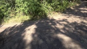 №239. Вело-этап: по эко-тропам в Горном лесу, 12 сентября.