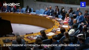 В ООН решили «отменить» украинские корни Небензи