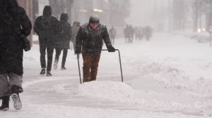 Столица в снегу: в Москве может быть побит 30-летний рекорд по высоте сугробов