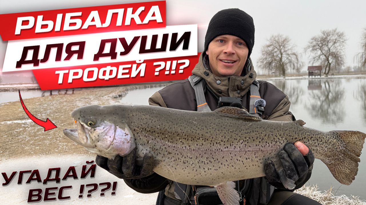 ОГРОМНАЯ ФОРЕЛЬ! Как поймать большую рыбу? ЛОВЛЯ ФОРЕЛИ. Рыбалка для души! смотреть онлайн