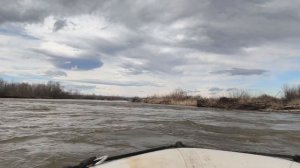 День рождения на Лабе: сплав от Центрального до Мостовского. 10 км за час! 🚣♂️🎂