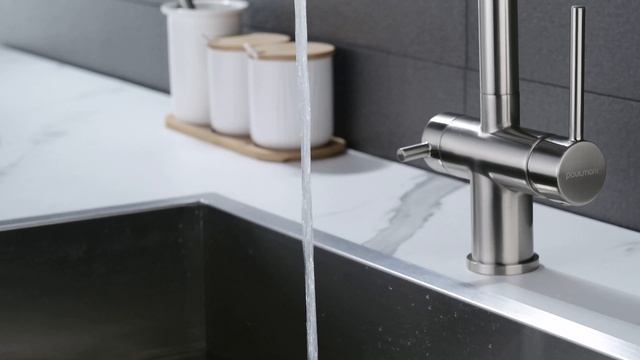 Смеситель для кухни с подключением к фильтру Paulmark Serpentine Se213222-NI