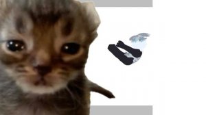 Для Синехвоста 🫀 [☃️SnowStar WC🐱]