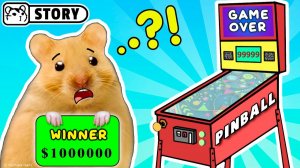 Лабиринт PinBall Hamster 🟢🔴🟢 Homura Ham