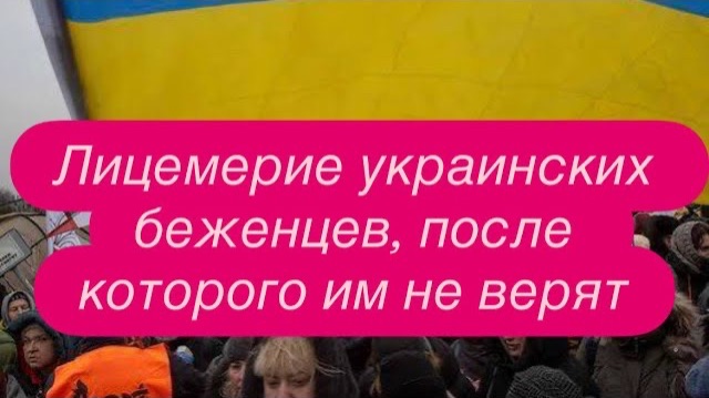 Как украинцы выгнали поляков из автобуса на мороз. #новости #беженцыизукраины смотреть онлайн