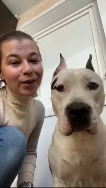 Игорь Алтайский . Отзыв.