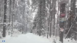 💖 Целую Весна 💖 Дмитрий Ноябрьский