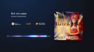Елена Шевченко - Всё это цирк
