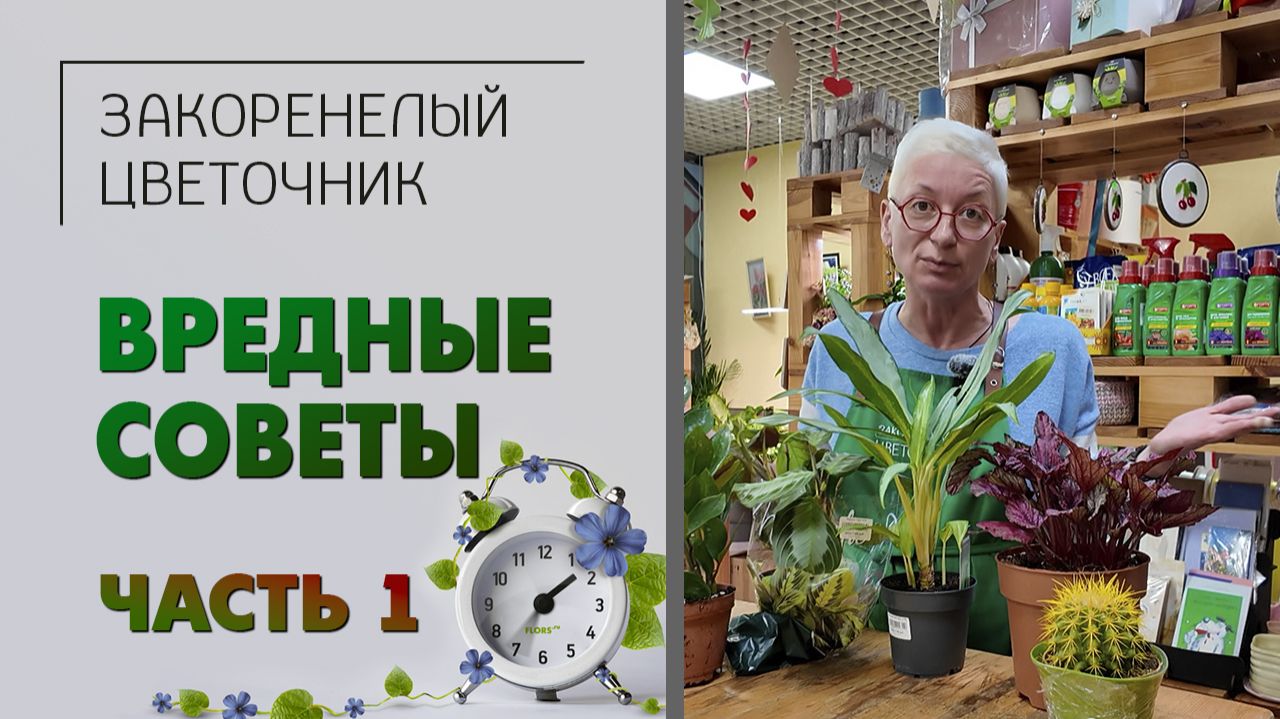 ВРЕДНЫЕ СОВЕТЫ - как быстро избавиться от растения. Часть 1. Выбор растения, еженедельный уход.