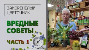 ВРЕДНЫЕ СОВЕТЫ - как быстро избавиться от растения. Часть 1. Выбор растения, еженедельный уход.