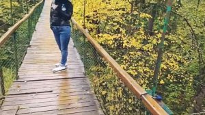 Дорохово_подвесной мост через овраг осенью