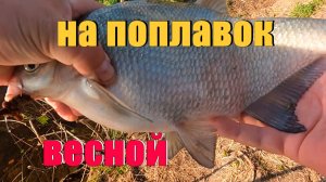 Ловля леща на полесском канале на большой поплавок