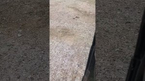 Video.Guru_20260224_135202810