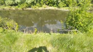 Красивый вид р.Бузулук