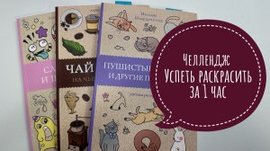 Челлендж Успеть раскрасить за 1 час!