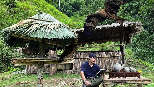 Уехал из города в деревню. Новая жизнь на природе. Строительство кормушки для орлов. Серия 3 смотреть онлайн