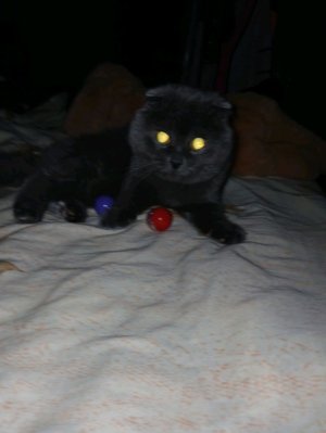 я и сюрприз