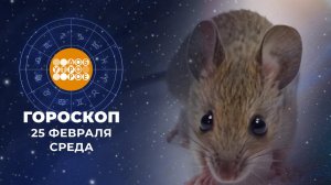 Гороскоп на 25 февраля. Доброе утро. Фрагмент выпуска от 25.02.2026