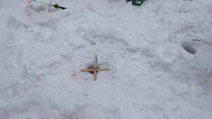 Зарыбление водоёма и поимки форели.