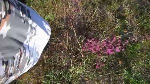 Психологические опоры 09 Оттаптывание