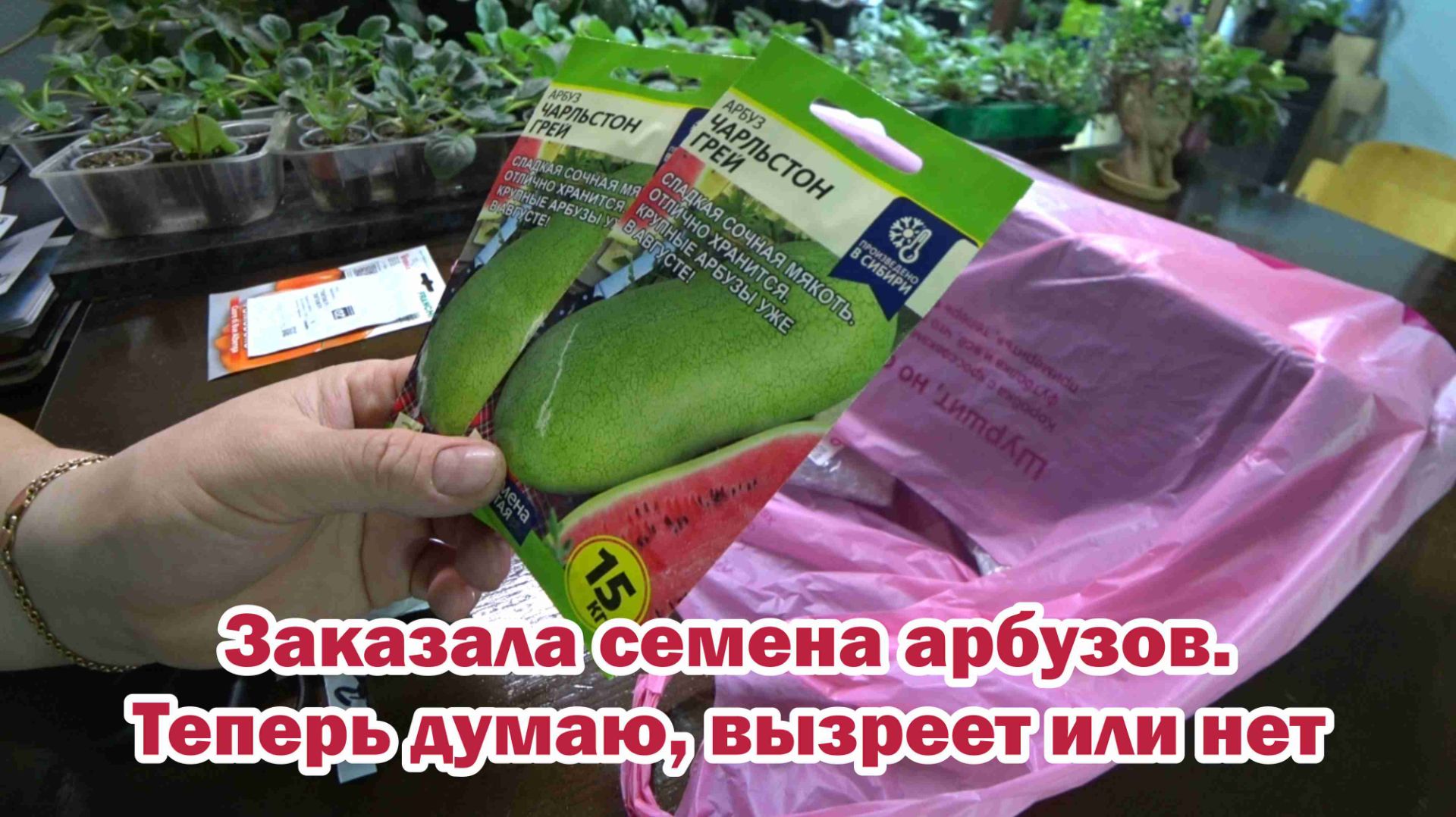 Обзор покупок с маркетплейсов: пакеты для вакууматора, семена, термометр, закваска, ломтерезка смотреть онлайн