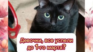 ДЕВОЧКИ, ВСЕ УСПЕЛИ ДО 1-го МАРТА..?