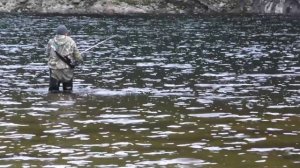 Река Зея от устья Оконона до Амнуса