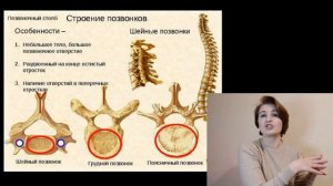 ГИПЕРЛОРДОЗ ПОЗВОНОЧНИК