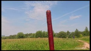 Парк Битцевский лес / Зона отдыха Битца / белки / велопрогулки / Битцевский парк