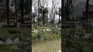 СОЧИ! 25 февраля! 🌴🌴Поехали в АДЛЕР!