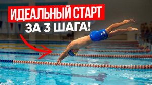 Прыжки в воду | Техника плавания для начинающих | Школа плавания Swim Rocket