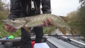 Как легко поймать щуку на спиннинг! Стоянки щуки на малой реке. Осенняя рыбалка.