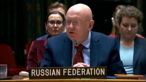 Видео спора в ООН замглавы МИД Украины с Небензей о его корнях