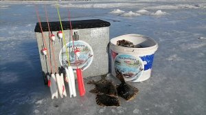 Камбала клюёт ПОДХОДАМИ, сильный ОТЛИВ. Снова в ТАВРИЧАНКЕ. Рыбалка на камбалу, ловлю на ПОПЛАВКИ.