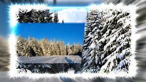 Зимний лес 5!!! Русская народная сказка от Киностудии Мудрого Кота Тимофея