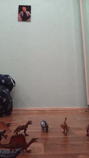 nспокойное видео