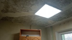 311. Ремонт остановился, а перцы... перцы растут.