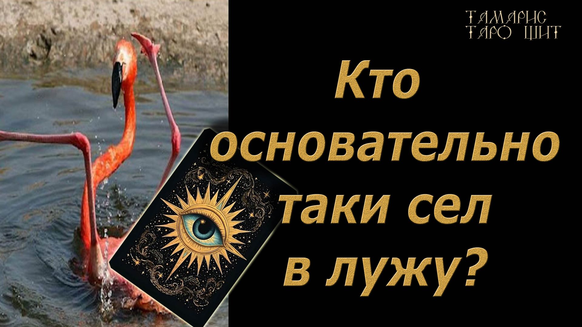 Кто основательно таки сел в лужу?🔥🔮 🔥 #таро#tarot#gadanie#онлайн#новые#расклады смотреть онлайн