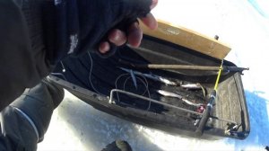 Зелёная Роща. 33 км. Рыбалка 25.2.26.