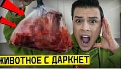 не покупайте живую рыбу старкнета