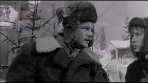 СИГНАЛИЗИРУЮ