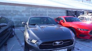 "По тормозам" (25.02.26)