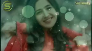 TOP 100 UZBEK MUSIC 2024  Узбекская музыка   узбекские песни #узбек #музик