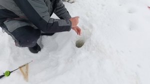 VID_20260225_091219_719