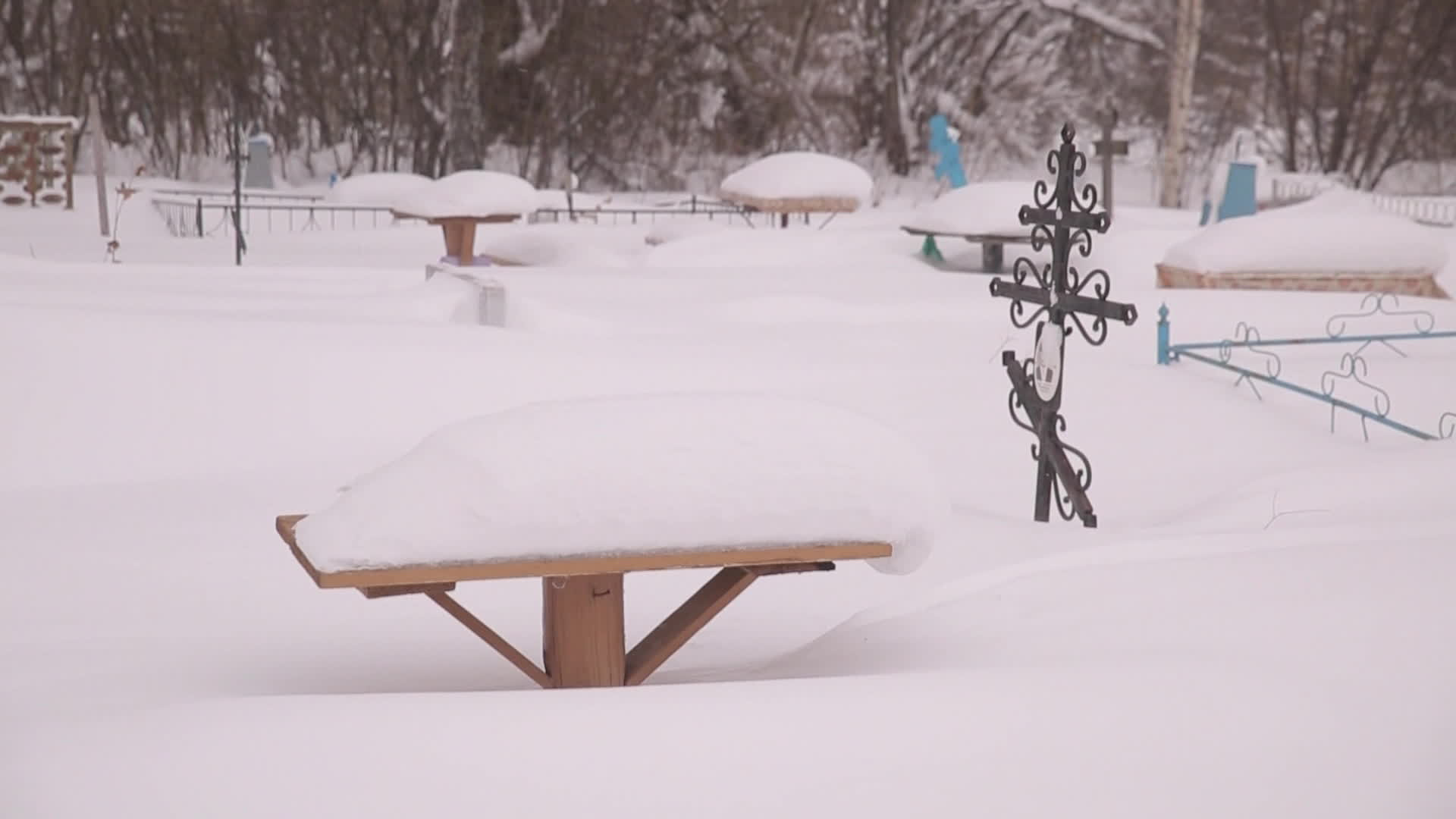 Экстрасенсы ведут расследование, 6 сезон, 11 выпуск