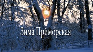 Зима Приморская
