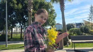 Сочи Сириус 26 Radisson Collection