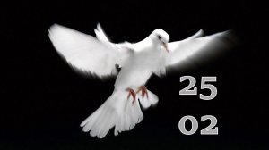 25.02.2026 - Прямая трансляция ст.Елизаветинская