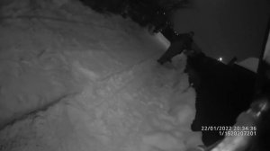 Чем можно найти золотое кольцо в снегу